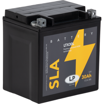 LP BATTERIES LTX30L SLA BATTERY