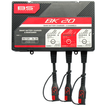 Load image into Gallery viewer, BS BATTERY BK20 CHARGER